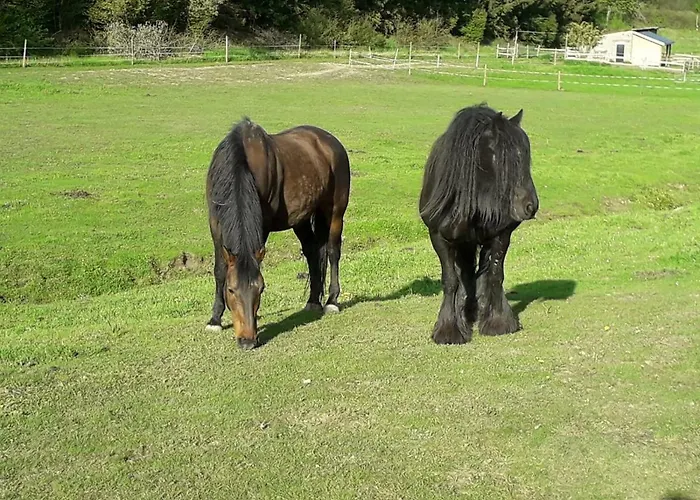 Am Lieserpfad Nerdlen